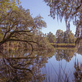 Crowfield Plantation 8
