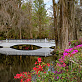 Long White Bridge