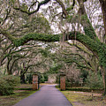Welcoming Entrance